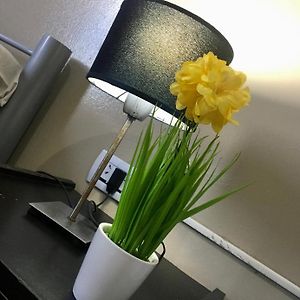 Habitación Cuádruple
